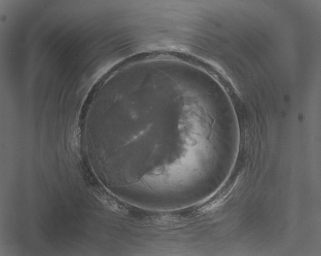 X0000051240879200506241519