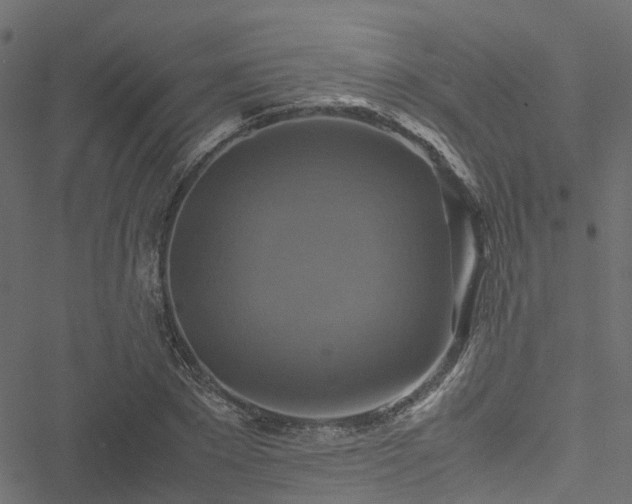 X0000051240881200506241518