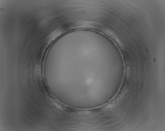 X0000051240882200506241518