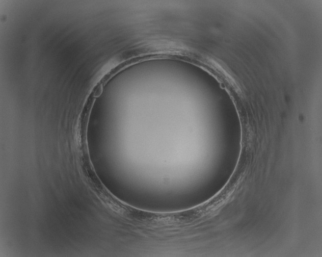 X0000051240883200506241518