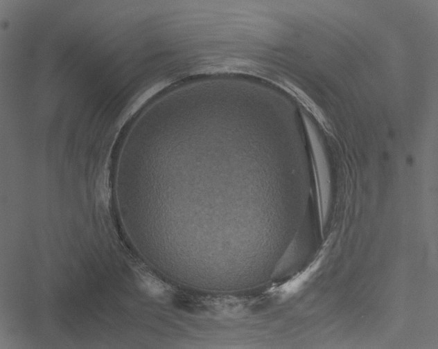 X0000051240885200506241518