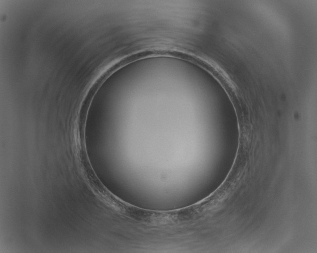 X0000051240887200506241518