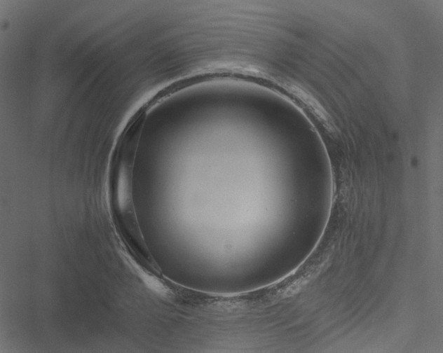 X0000051240888200506241518