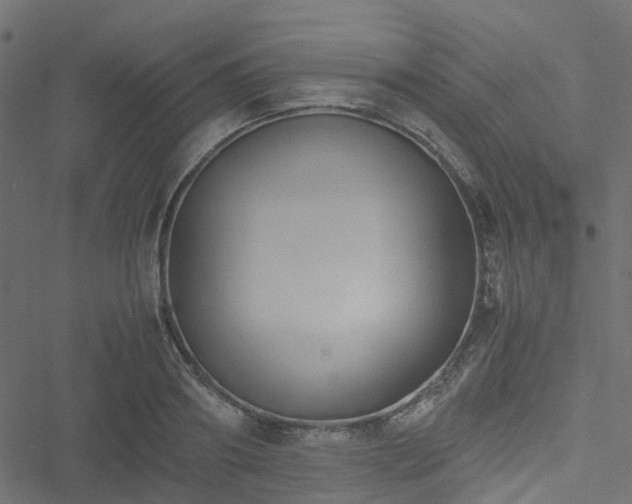 X0000051240890200506241518