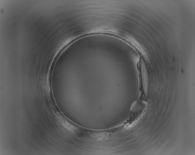 X0000051240892200506241518