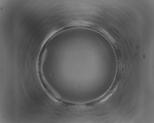 X0000051240893200506241518