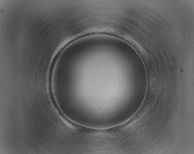 X0000051240894200506241518