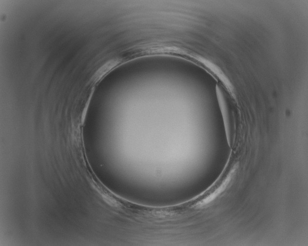 X0000051240897200506241518