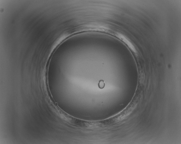 X0000051240899200506241518