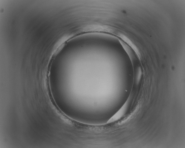 X0000051240901200506241518