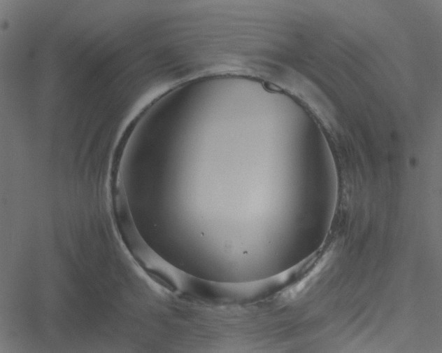 X0000051240902200506241518