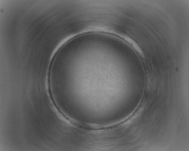 X0000051240904200506241518