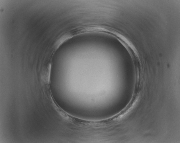 X0000051240905200506241518