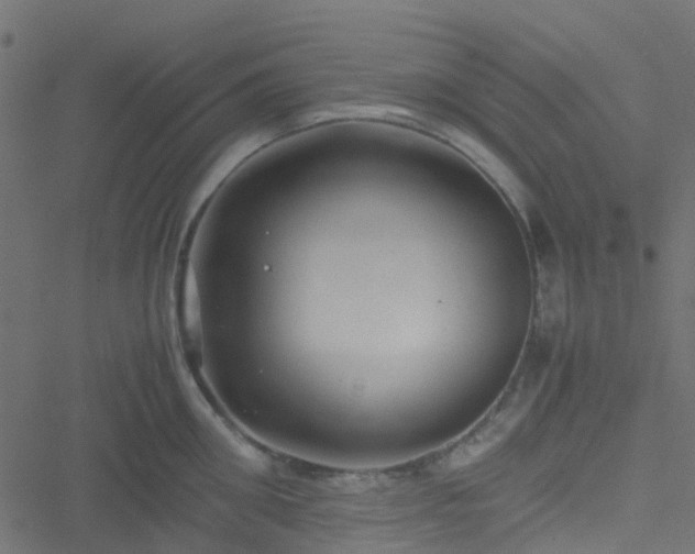 X0000051240906200506241518