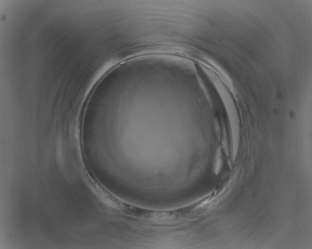 X0000051240907200506241518