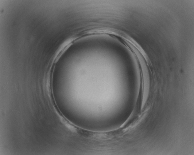 X0000051240909200506241518