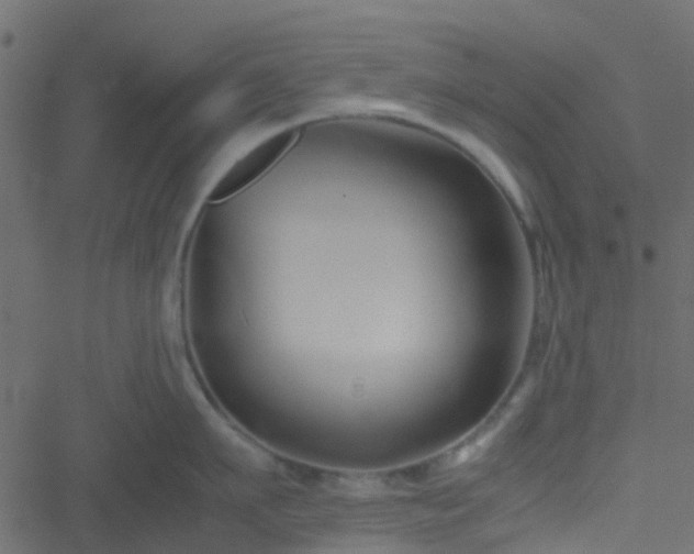 X0000051240911200506241518