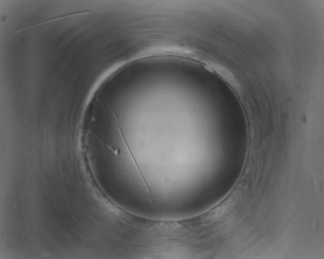 X0000051240912200506241518