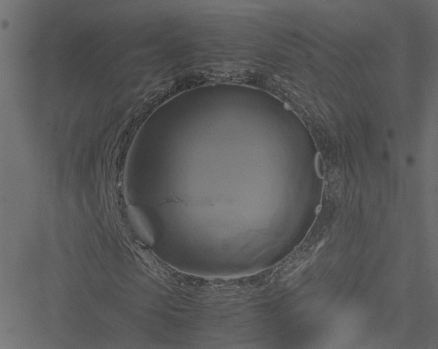 X0000051240913200506241517