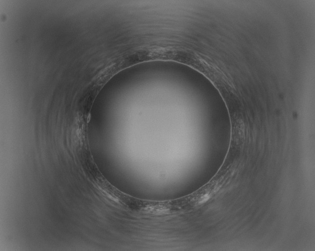 X0000051240914200506241517