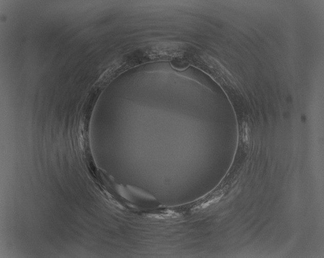 X0000051240915200506241517