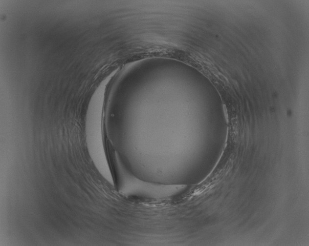 X0000051240916200506241517