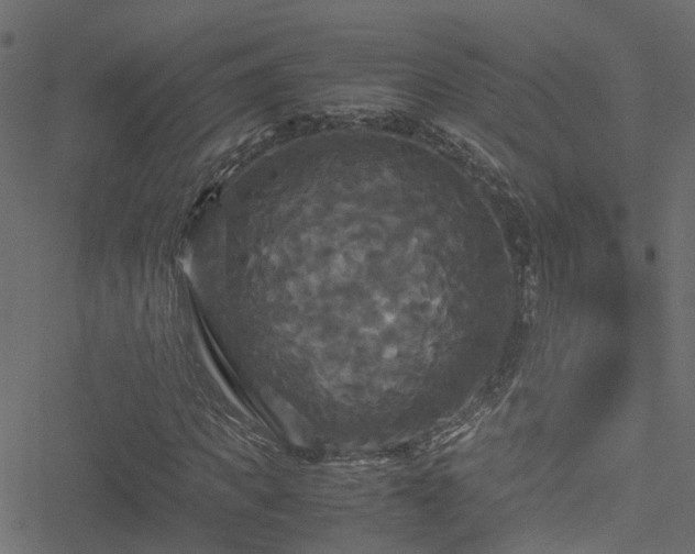 X0000051240917200506241517