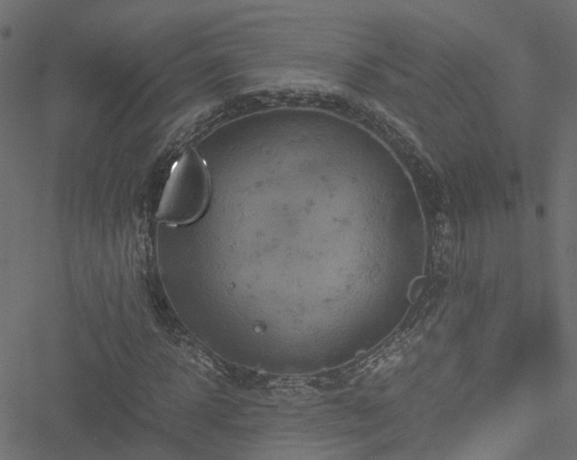 X0000051240918200506241517