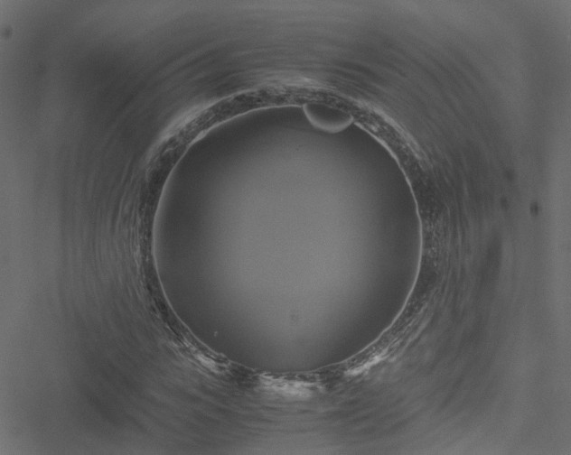 X0000051240919200506241517