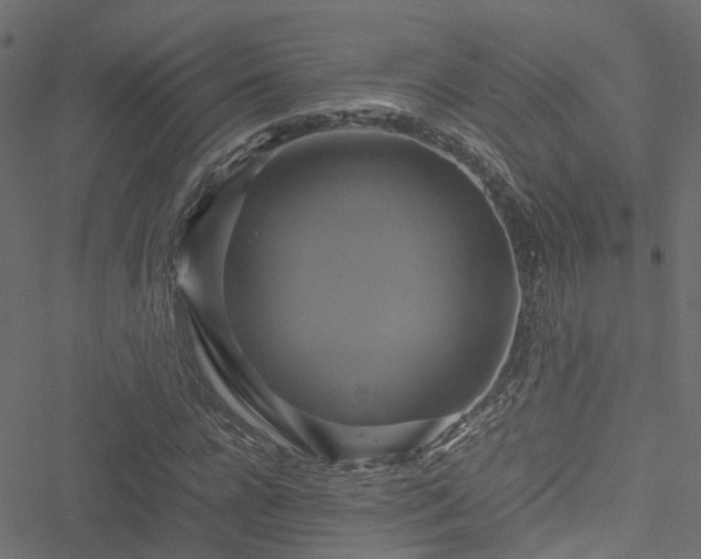 X0000051240920200506241517