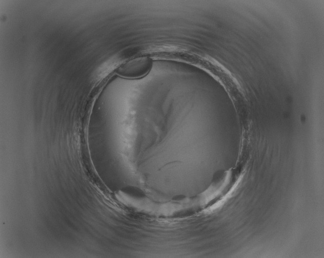 X0000051240921200506241517