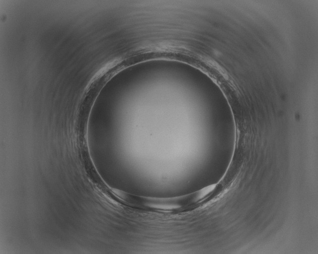 X0000051240922200506241517