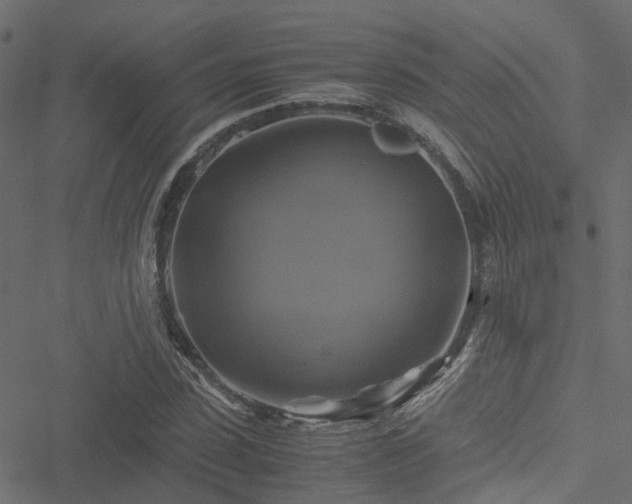 X0000051240923200506241517