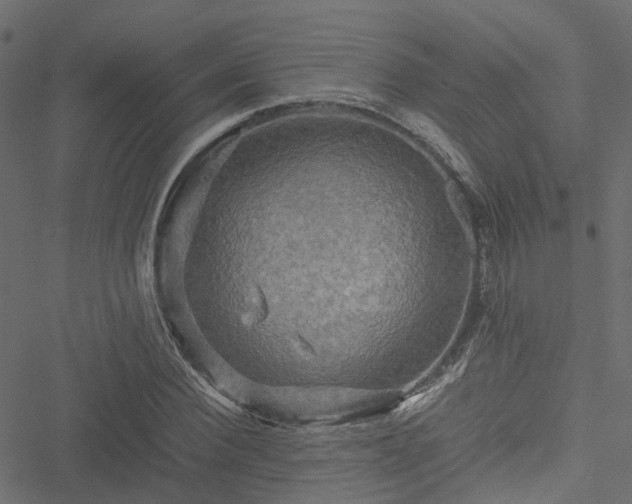 X0000051240924200506241517