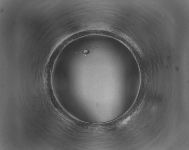 X0000051240926200506241517