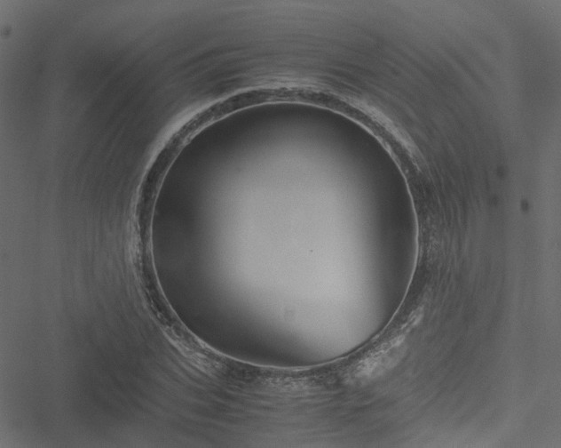 X0000051240927200506241517