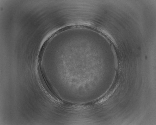 X0000051240928200506241517