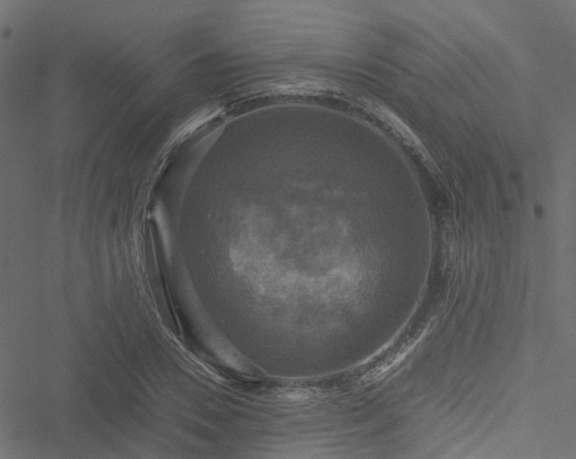 X0000051240930200506241517