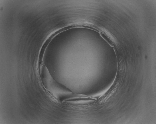 X0000051240932200506241518