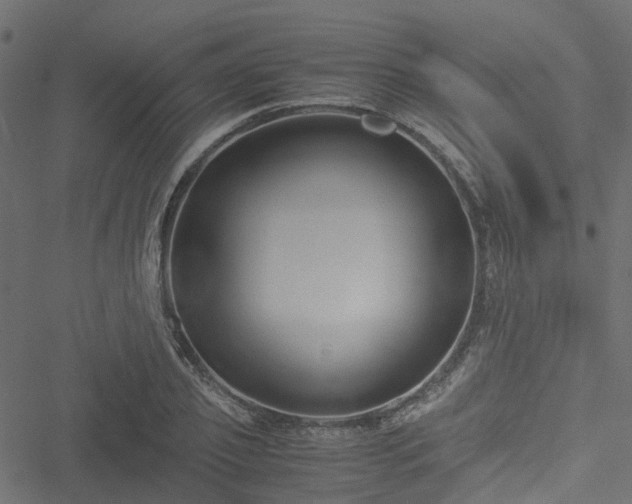 X0000051240933200506241518