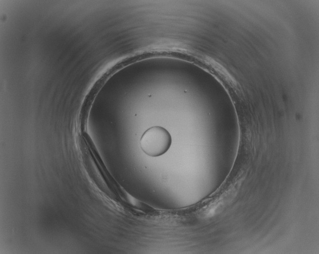 X0000051240934200506241518