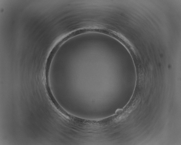 X0000051240935200506241518