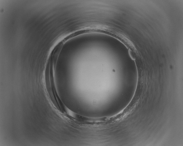 X0000051240936200506241518