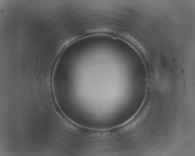 X0000051240937200506241518