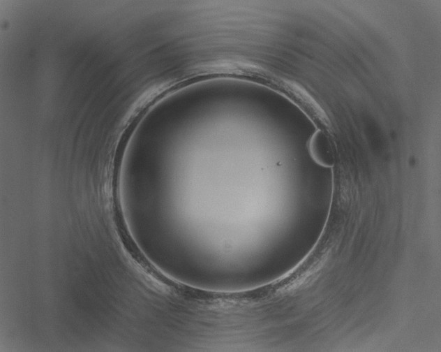 X0000051240938200506241518