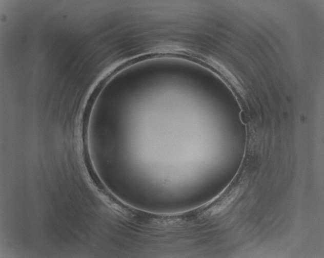 X0000051240939200506241518