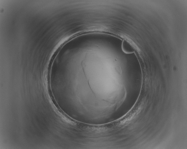 X0000051240941200506241518