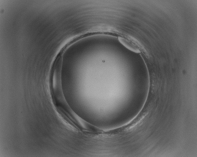 X0000051240942200506241518