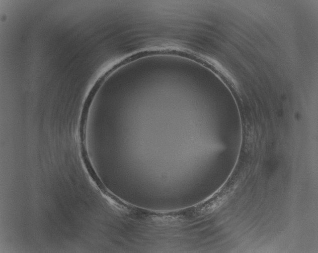 X0000051240943200506241518