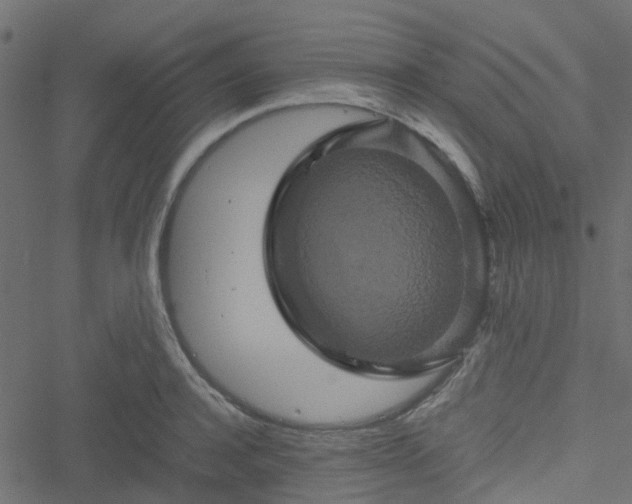 X0000051240944200506241518